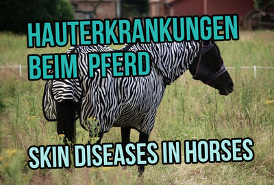 If the Skin Itches and Tingles - Skin Diseases in Horses