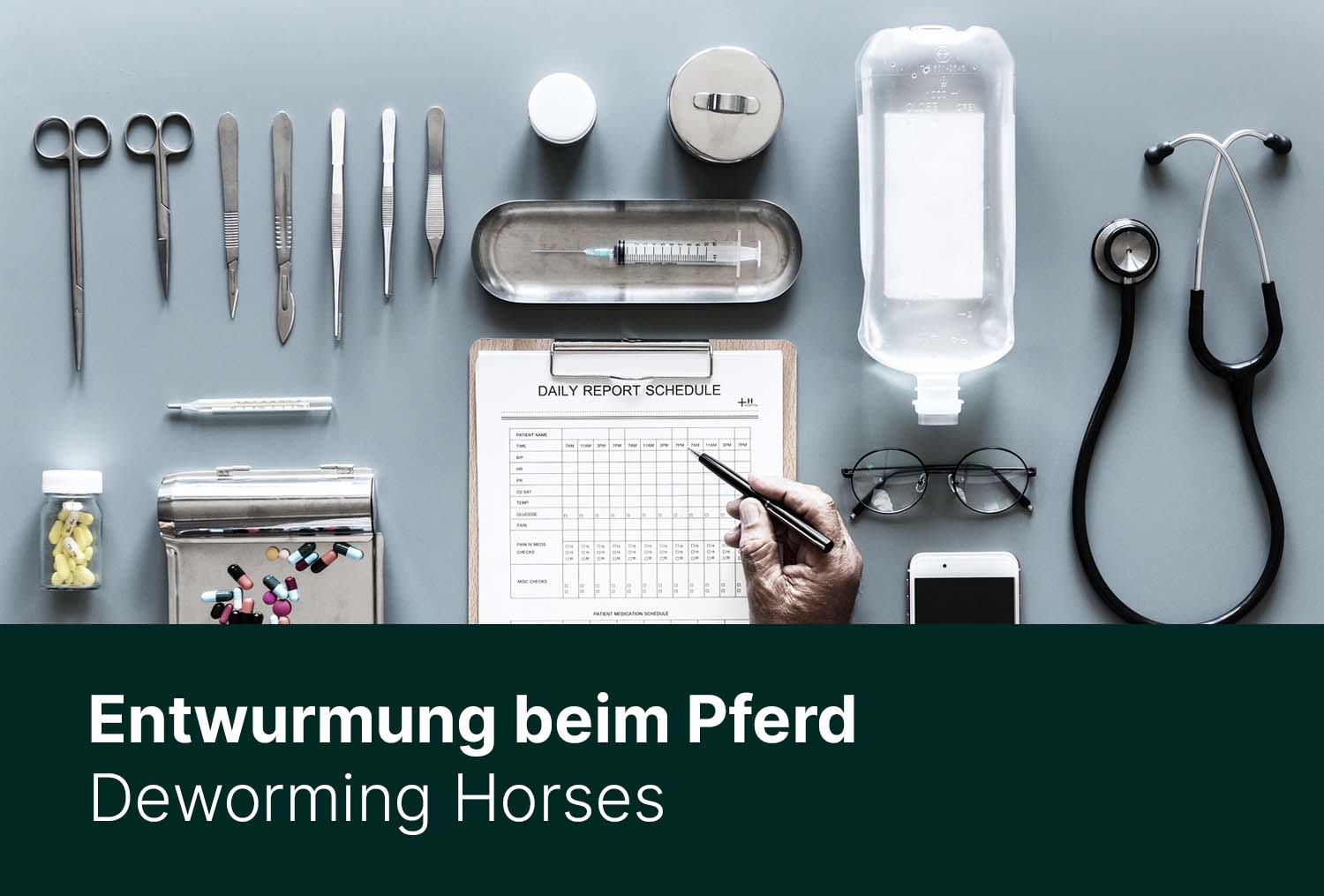 Entwurmung beim Pferd - selektiv oder systematisch?