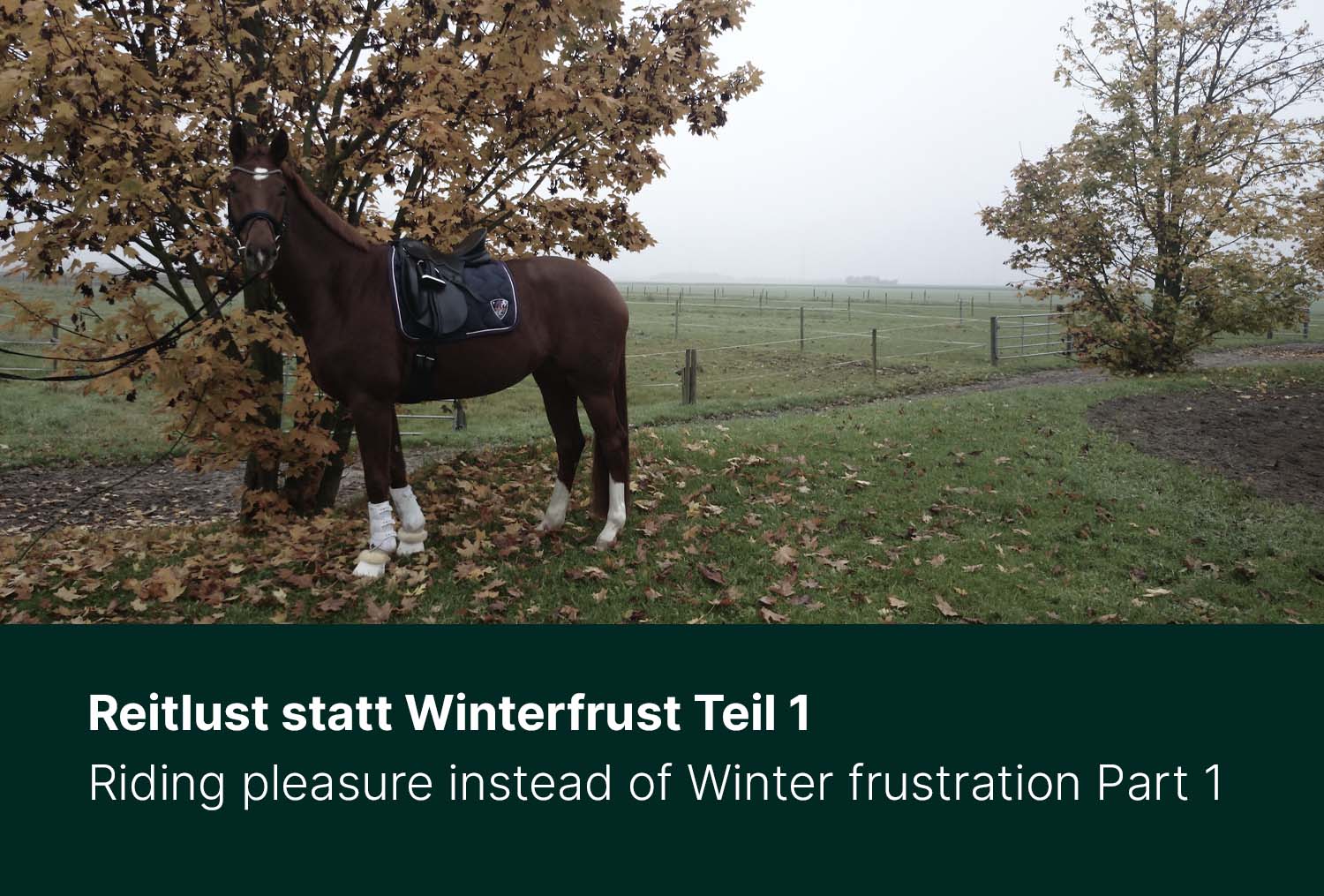 Reitlust statt Winterfrust - Teil 1