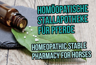 Homeopathic Stable Pharmacy For Horses: You Should Have These At Hand In The Barn