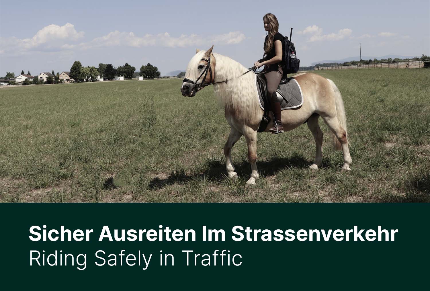 Sicher ausreiten im Straßenverkehr