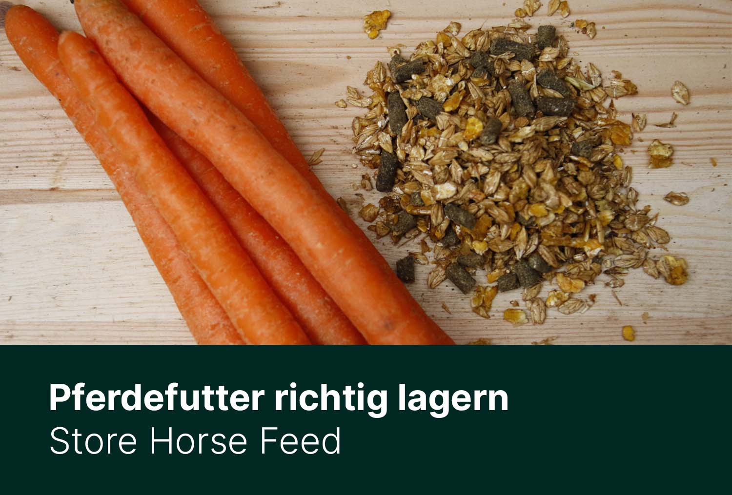 Pferdefutter richtig lagern