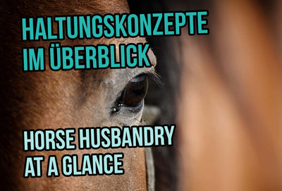 Horse Husbandry at a Glance