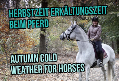 Autumn - Cold Weather for Horses
