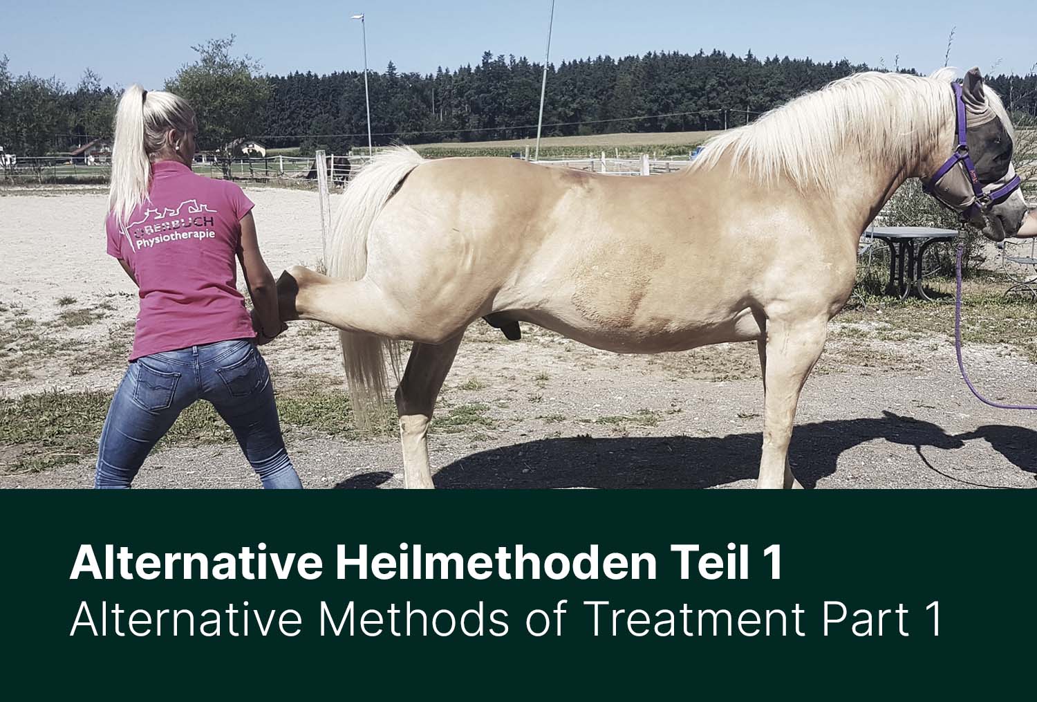 Alternative Heilmethoden Teil 1 – Zwischen Chiropraktik, Physiotherapie und Co.