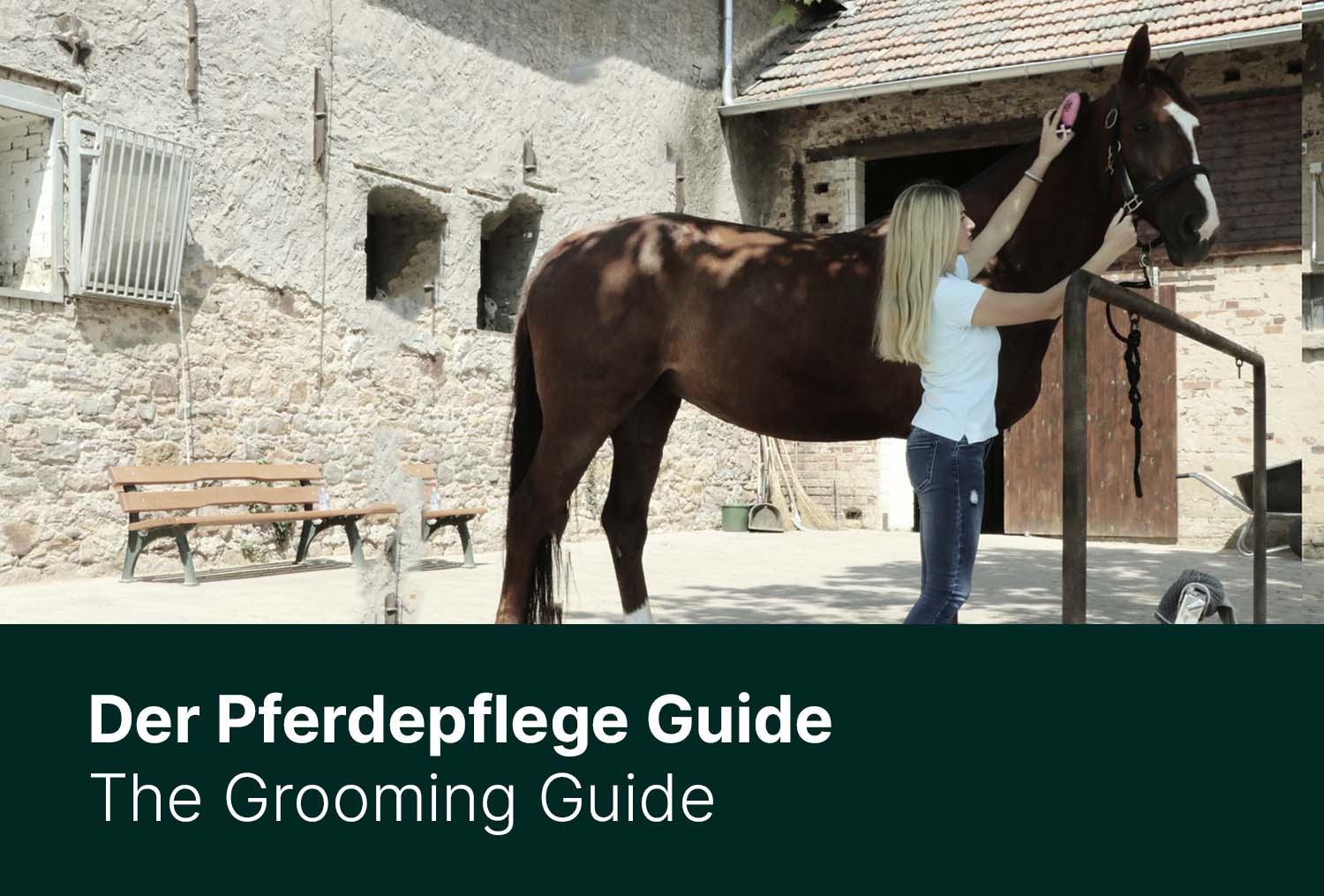 Wie putze ich mein Pferd richtig? - Der Pferdepflege Guide