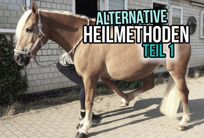 Alternative Methods of Treatment Part 1 - Between Chiropractic, Physiotherapy and Co.