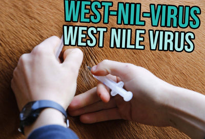 West Nile Virus – An Overview