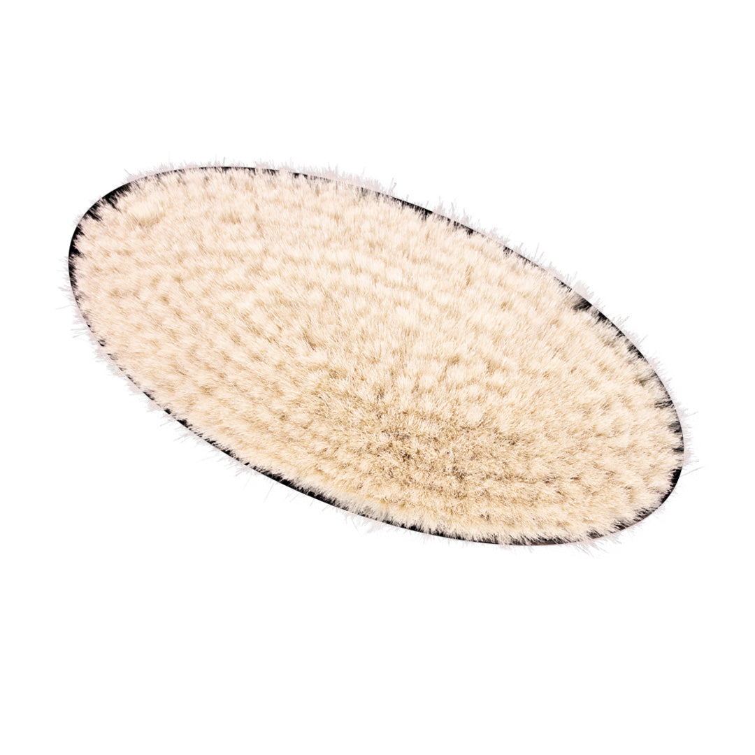 Shine Brush