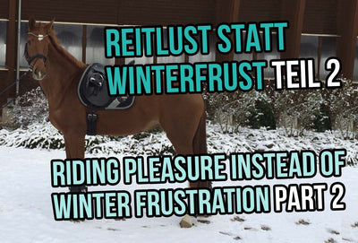 Riding Pleasure Instead of Winter Frustration - Part 2
