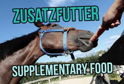 Supplementary Food - What Is Important For My Horse?