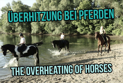The Overheating of Horses - Recognize and Prevent