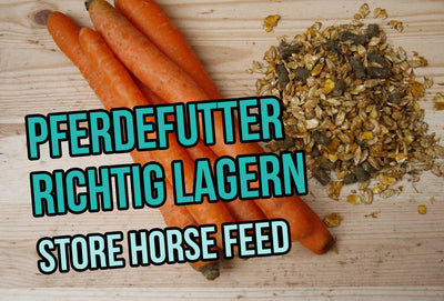 Store Horse Feed Properly