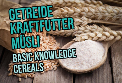 Basic knowledge: Cereals - What does my horse need?