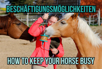 How to keep your Horse busy