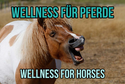 Wellness for Horses