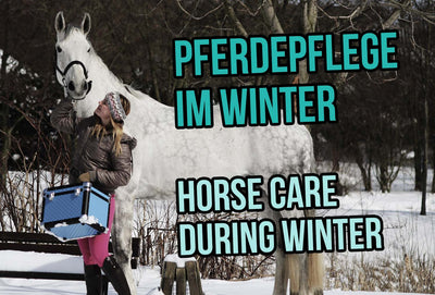 Horse Care during Winter