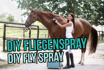 DIY Fly Spray - starting protected into the summer