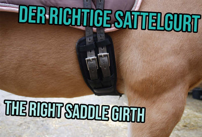 The Right Saddle Girth